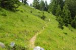 2014-07-05_Laengental-N-Hochweg (894). JPG